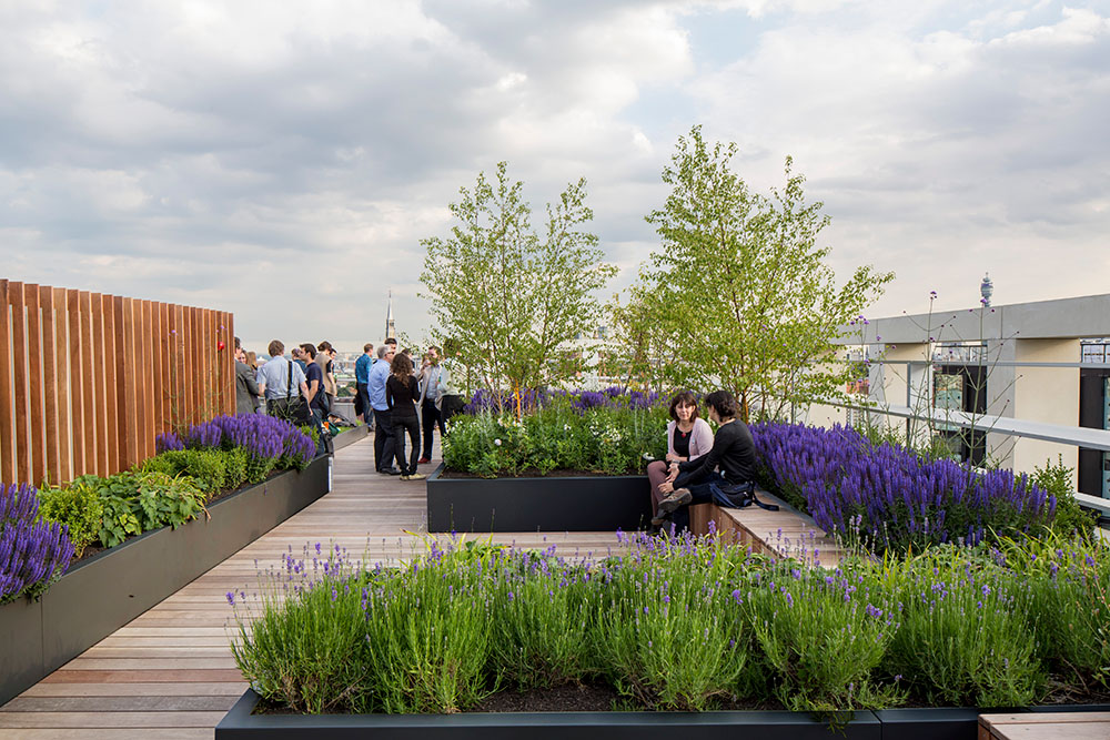 Precedent images of planting on roof terraces